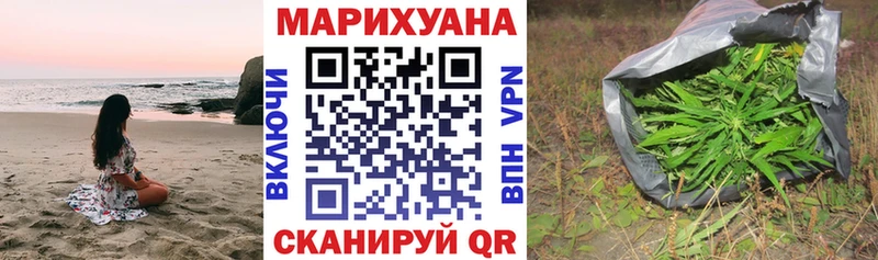 Конопля OG Kush  наркота  Димитровград 