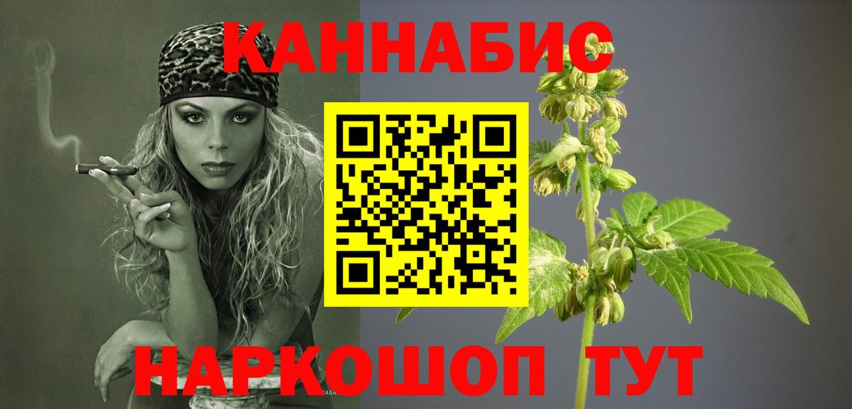 Бошки Шишки план Димитровград
